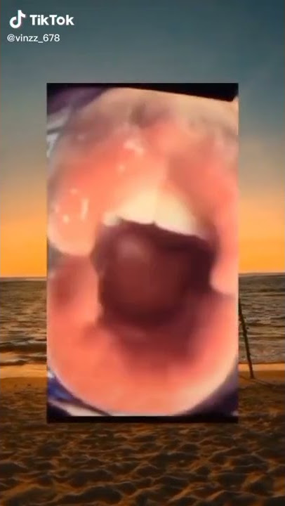 meme copo meme kepo meme copo oooo #fypp #tiktok #meme