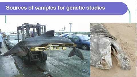 TEDxDublin - Simon Berrow - 03/12/10