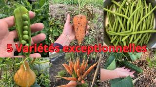 5 variétés de légumes parmi les meilleures