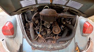 FIRST START In Years | RARE VW Beetle - Will It Run? CT Shed Find.