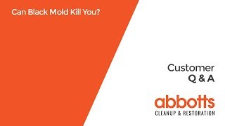 Can black mold kill you?