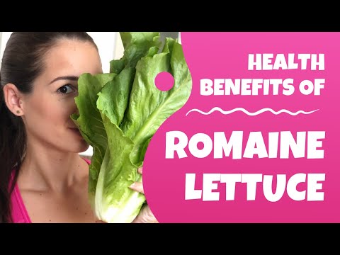 Health benefits of Romaine Lettuce: Is it worth it to eat ROMAINE LETTUCE?