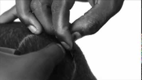 200584_Mohamed_Zidan_Love_football.flv