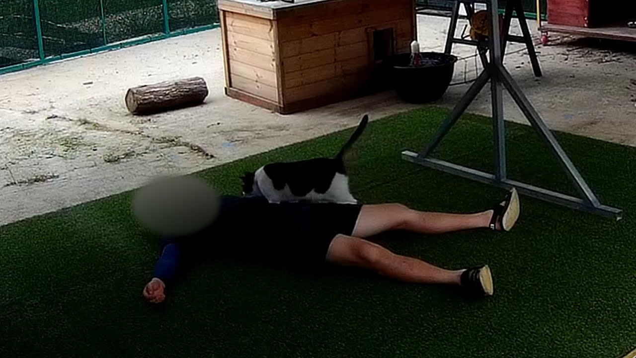 나를 걱정해주는 고양이