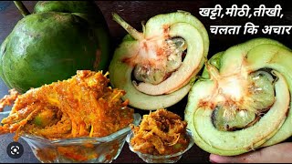 मह म पन लन वल चटपट चलत क आचर Chatlar Achharelephant Apple Pickle Recipe