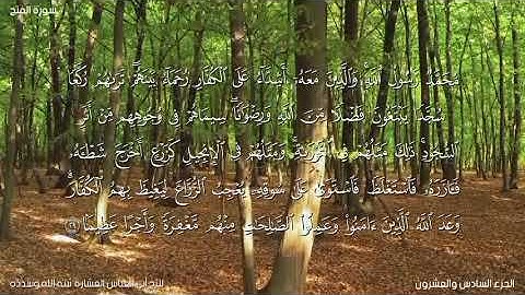 تلاوة لما تيسر من سورة الفتح_ الآية 29 _ للأخ أبي العباس العشارة حفظه الله _ تلاوة رائعة ما شاء الله