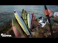 Testing Popular Beach Fishing Lures on a Tropical Beach!