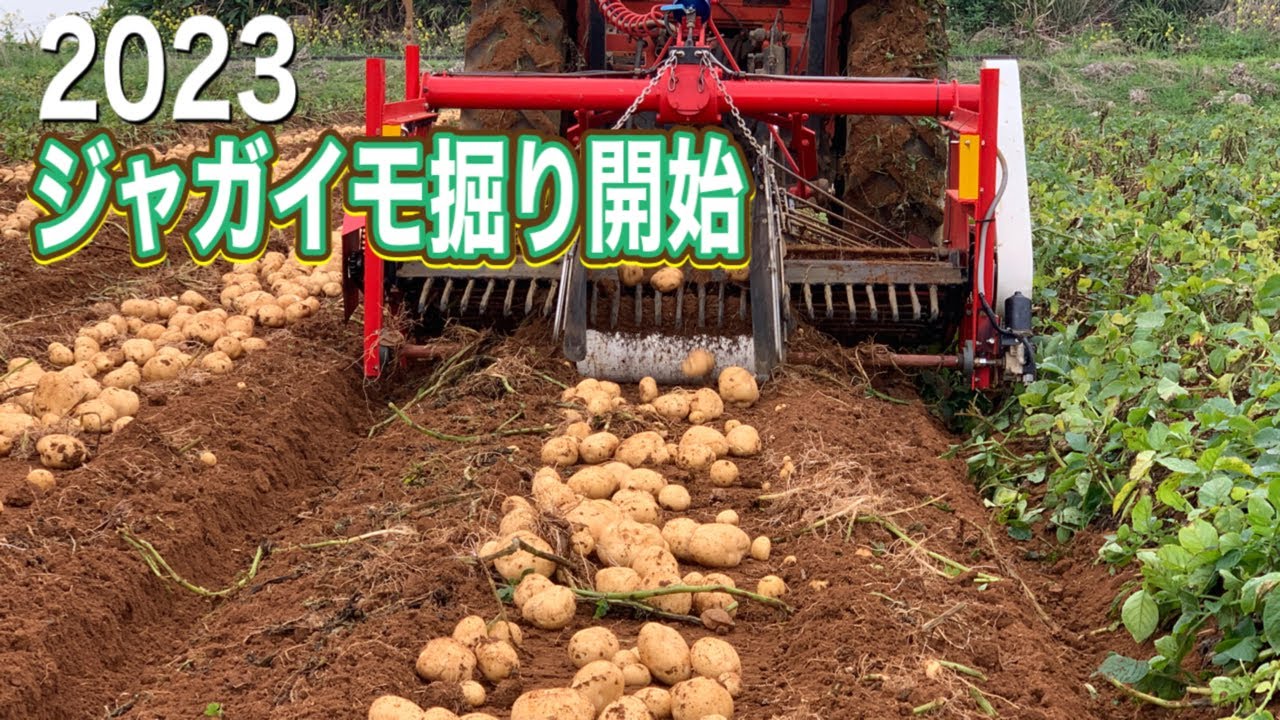 ジャガイモ掘り機 2023じゃがいも掘り開始 掘取機編 - YouTube