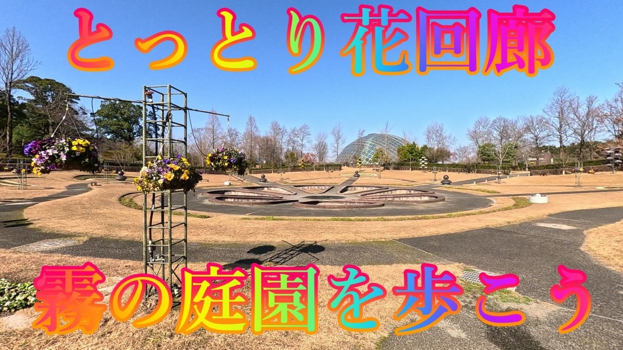 冬の季節 2月21日 土曜 晴れ 寒い朝の風 #とっとり花回廊 霧の庭園を歩こう 日本 鳥取県西伯郡南部町鶴田 レストラン花かいろう @WalkingYoshi