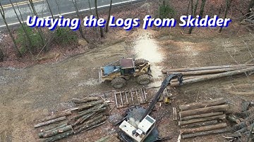 Mountainside Logging Operation Seen by Drone | Felling, Skidding & Loading