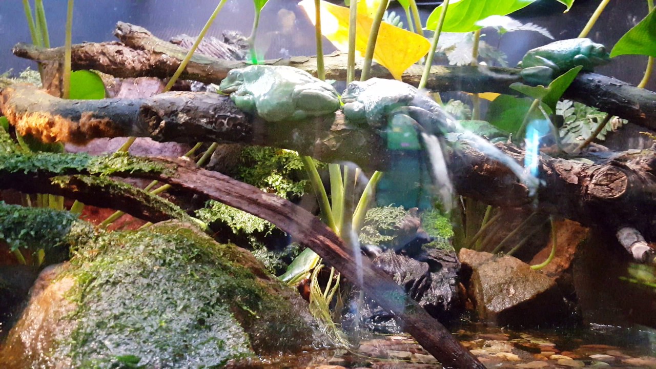 joe mixon Fort Worth zoo(12)