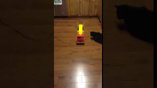 Johnny express backward