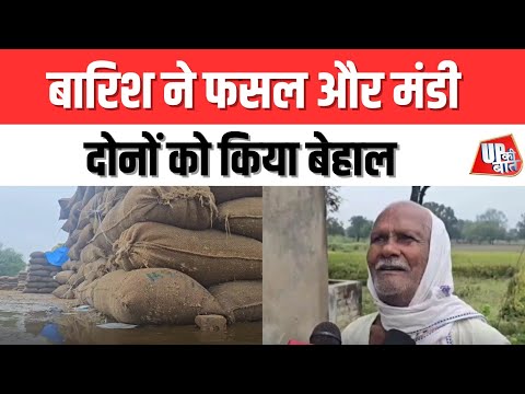 Kaushambi: बारिश ने फसल और मंडी दोनों को किया बेहाल | UP Ki Baat
