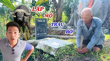 Gặp người đàn ông lập bia mộ cho trâu bò như người thân - ĐỘC LẠ BÌNH DƯƠNG