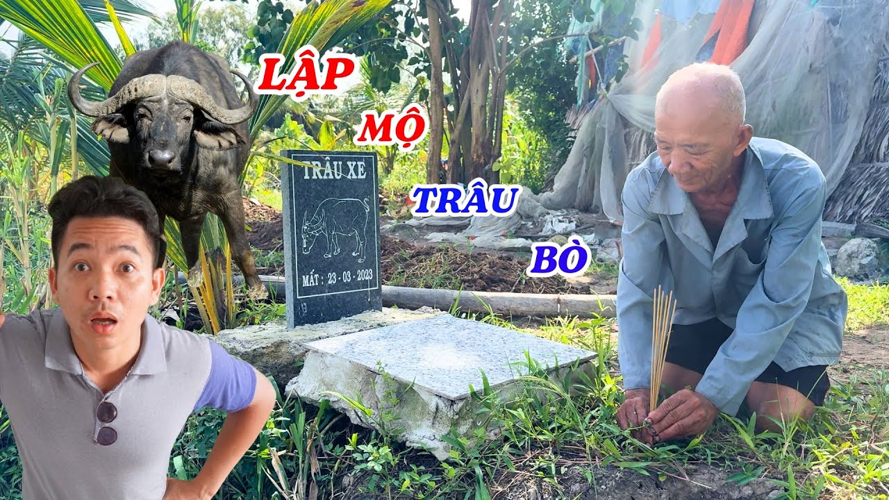Gặp người đàn ông lập bia mộ cho trâu bò như người thân - ĐỘC LẠ BÌNH DƯƠNG