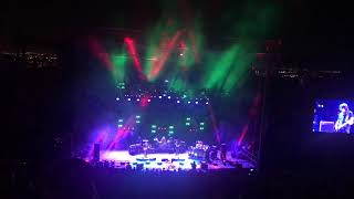 Govt Mule Rocking Horse