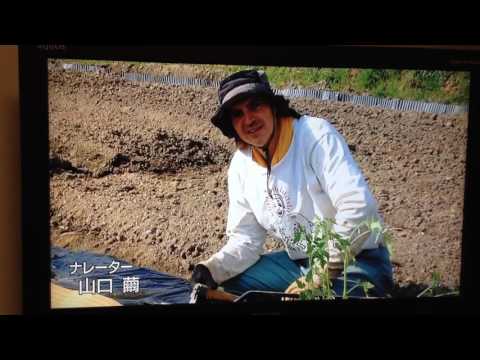 野菜の時間に出演！otra vez en la tele