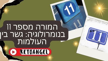 המורה מספר 11 בנומרולוגיה גשר בין העולמות