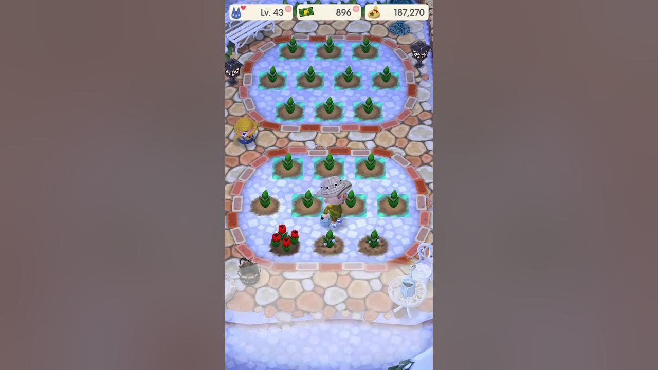 Animal crossing pocket camp Watering flowers YouTube