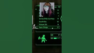 #funnystreamer #girlgamer #smallstreamer #fallout #fallout3 #twitchstreamer #twitchclips