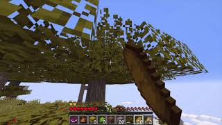 True Survival Minecraft Smp Ep1