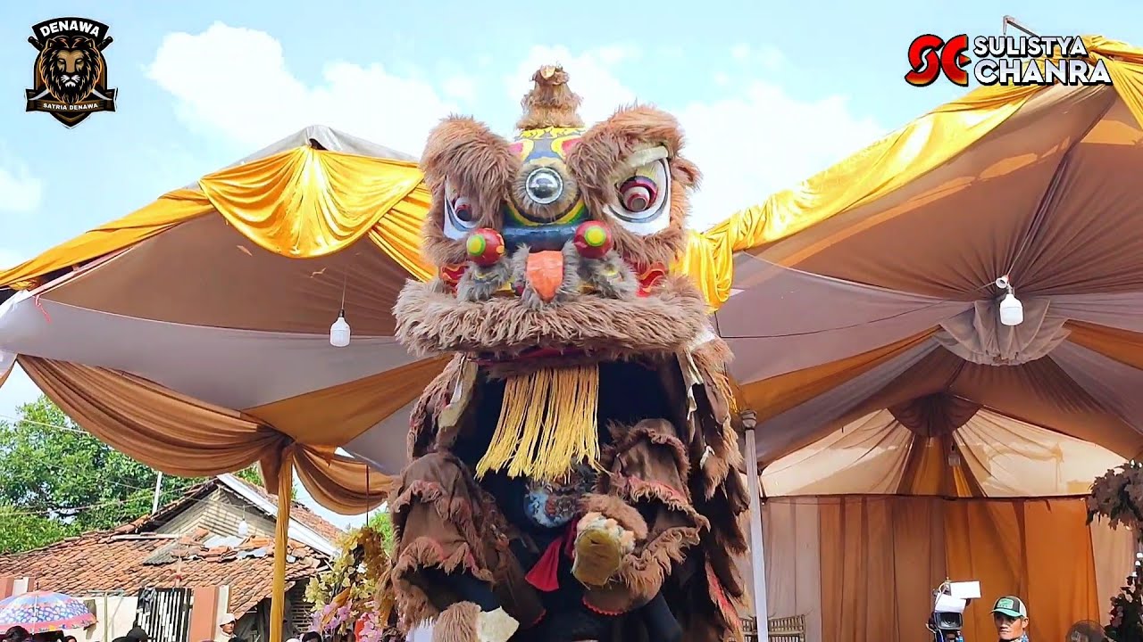 ATRAKSI BARONGSAI GOYANG LATO LATO ‼️Singa dangdut SATRIA DENAWA