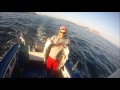 Pesca lubina - robalo Spinning en Galicia