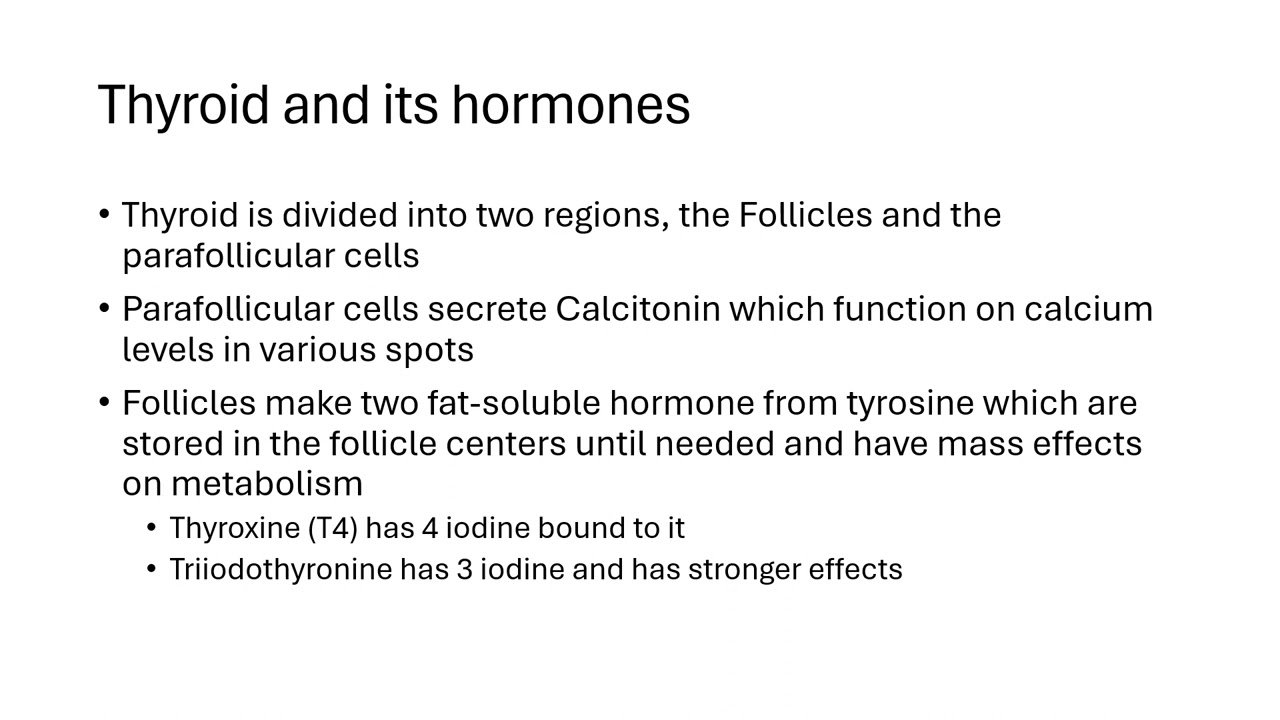 Basic endocrine