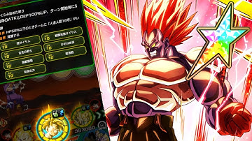 100% AGL ANDROID 13 WITH LEVEL 10 LINK SKILLS SHOWCASE! | Dragon Ball Z Dokkan Battle