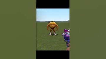 ... CHOOSE YOUR FAVOURITE CHARACTER IN ZOOCHOSIS OR MERGE FELLAS ITALIAN BRAINROT NEXTBOTS GMOD