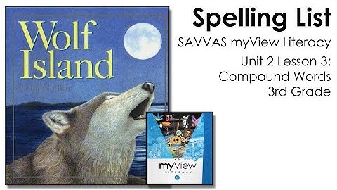 SAVVAS MyView Literacy Spelling Unit 2 Lesson 3 - 3rd Grade