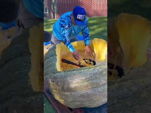 Giant Pumpkin Boat Race: A Crazy Competition in America!