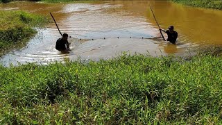 Pesca de tarrafa e rede de arrasto_dessa Acará eu nunca tinha visto