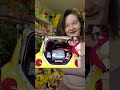 Fun Facts on the Pikachu and Lugia Nintendo cars!