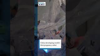 China Developing World's First Pregnancy Robot.