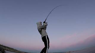 Shore Jigging - Un pesce al primo lancio