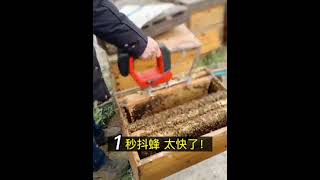Download Mp3 Bee vibration detacher Operating Video Gudang lagu Download Mp3 Bee vibration detacher Operating Video