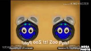 Zoopals In Field Day Major