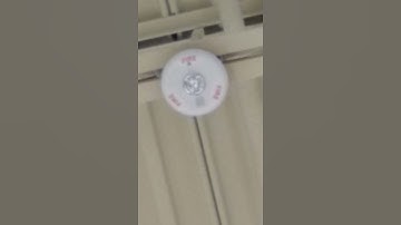 System Sensor PC2W Horn Strobe at Dick