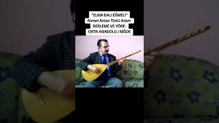 Elma Dali Eğmeli̇ (Türkü Adam)
