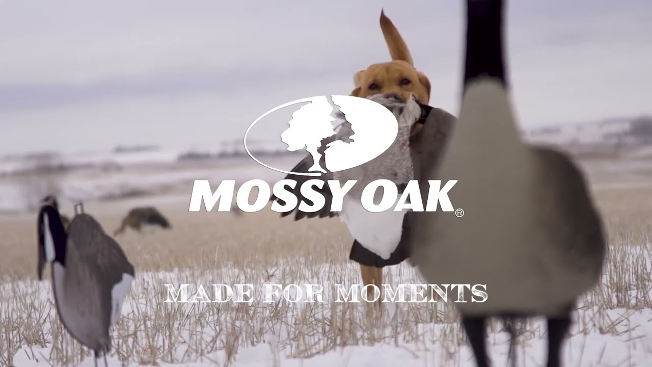 Happy Boy Gifts Us with a Goose | Mossy Oak Moments