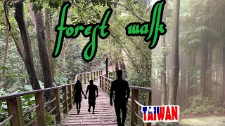 4k FOREST WALK ,STAIRS AT YANGCHOU FOREST | MAY SWEET LOVER PA