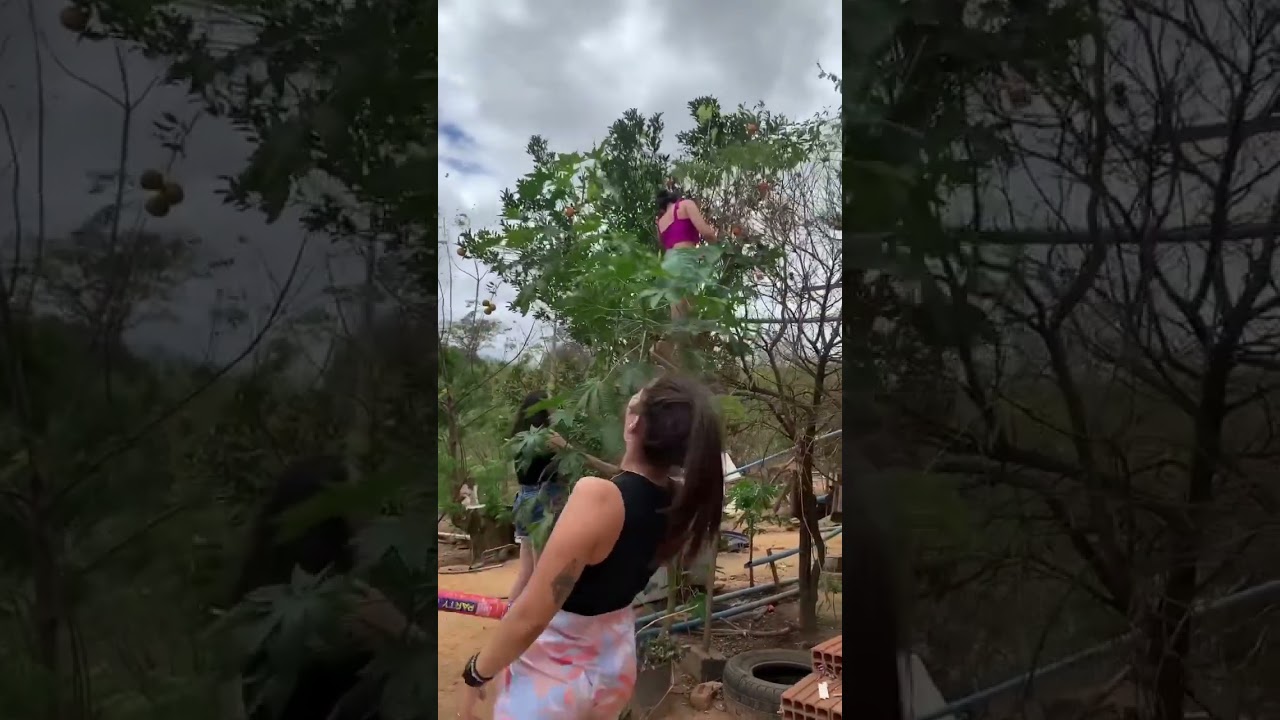 Trolando a própria irmã:🤭😂😂