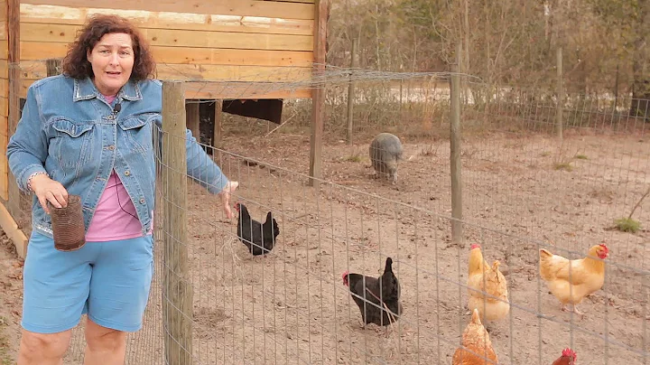 If you're missing this your chickens won't lay eggs.