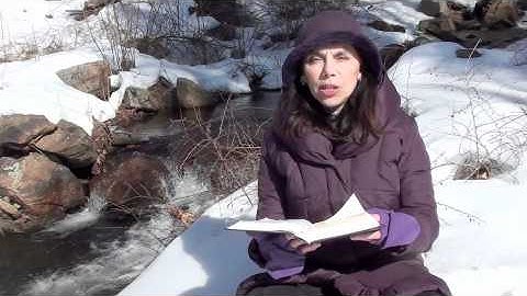 Workbook Lesson 67 from A Course in Miracles with Amy Torres