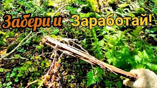 видео: Этот металл лежит у всех на глазах, просто забери его! картинка: Этот металл лежит у всех на глазах, просто забери его!