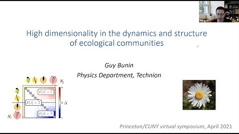 High dimensionality in the dynamics and structure of ecological communities - Guy Bunin