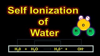 Self Ionization of Water Class 10 Chemistry | Auto Ionization of Water | Acids Bases and Salts