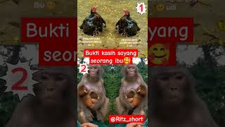 bukti kasih sayang seorang ibu🥰#viral #pilihyangmana #laguviral #shorts