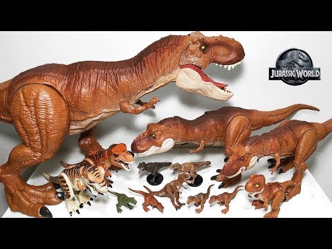 Video: Bregne - Samme Alder Som Dinosaurer I Vores Hjem